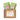 Future Momma Tea Gift Pack - Full Leaf Tea Company