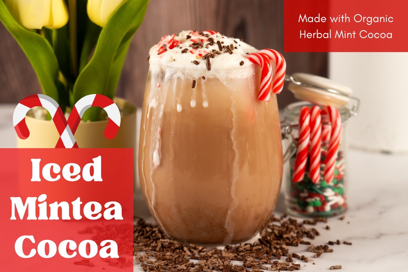 Iced Mintea Cocoa - Full Leaf Tea Company