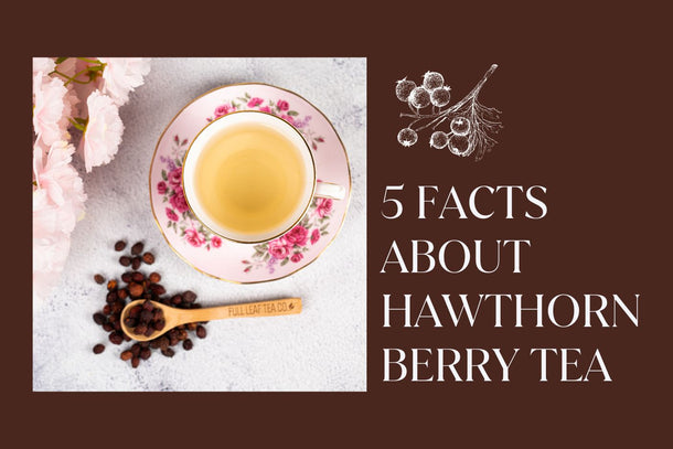 5 facts about hawthorn berry tea