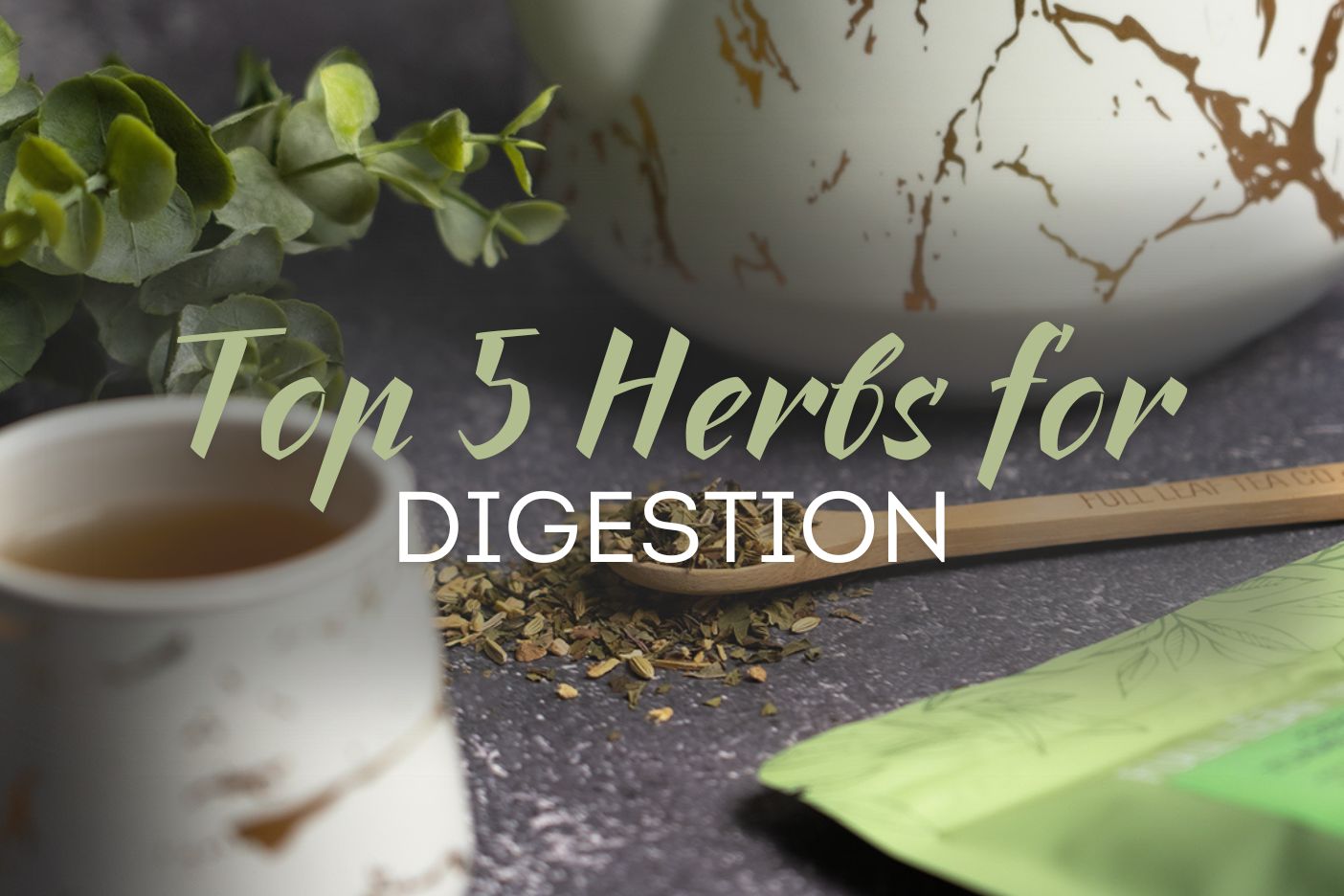 Top 5 Herbs for Digestion: Full Leaf Tea Co's Rankings – Full Leaf Tea ...