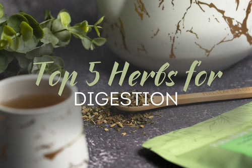 Top 5 Herbs for Digestion - Full Leaf Tea Company