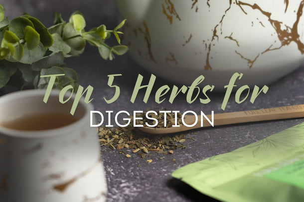 Top 5 Herbs for Digestion - Full Leaf Tea Company