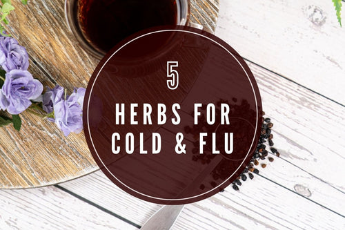 5 Herbs for Cold and Flu - Full Leaf Tea Company