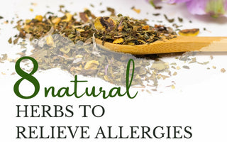 Organic Allergy Relief 🌼 | Tea of the Week - Full Leaf Tea Company