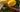 August 2026 Newsletter - Full Leaf Tea Company