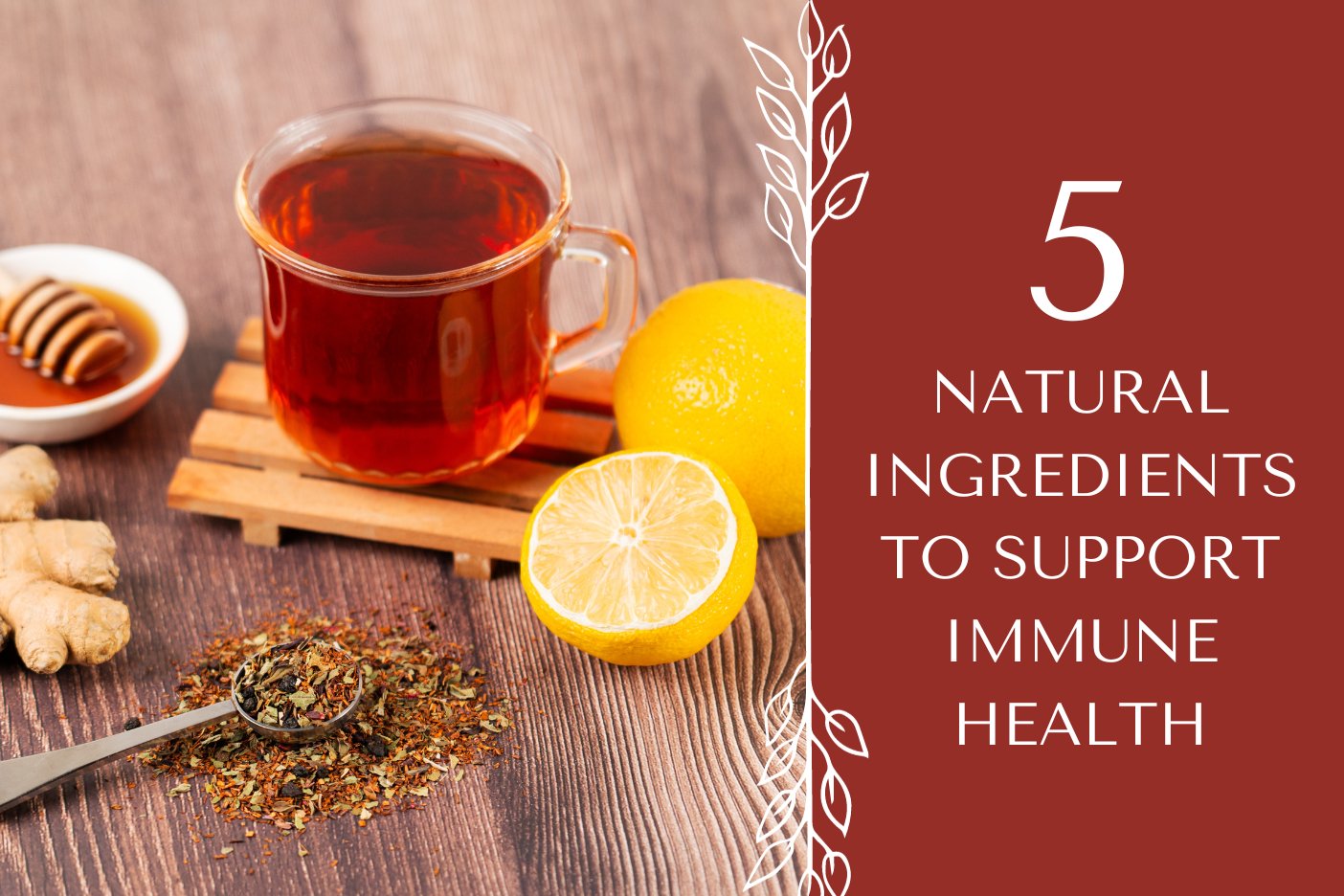 Organic Immunity Blend 🛡️ | Tea of the Week - Full Leaf Tea Company