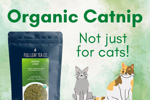 Organic Catnip | Not Just for Cats 🐱 - Full Leaf Tea Company