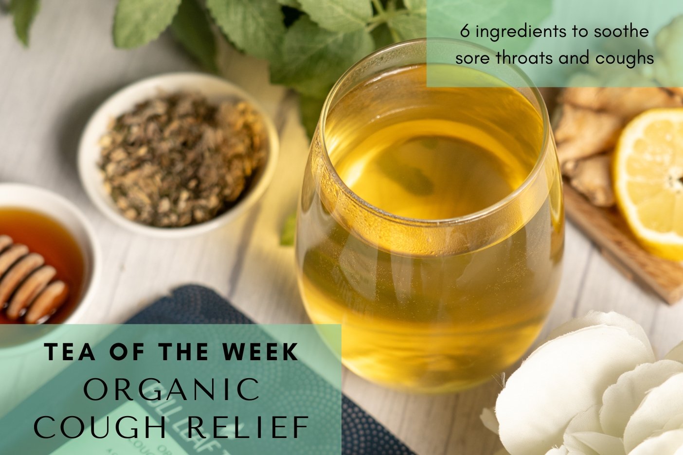 Organic Cough Relief 🌿 | Tea of the Week - Full Leaf Tea Company