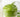 Homemade Organic Whipped Matcha Cream Recipe - Full Leaf Tea Company