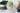 Matcha Dalgona - Full Leaf Tea Company