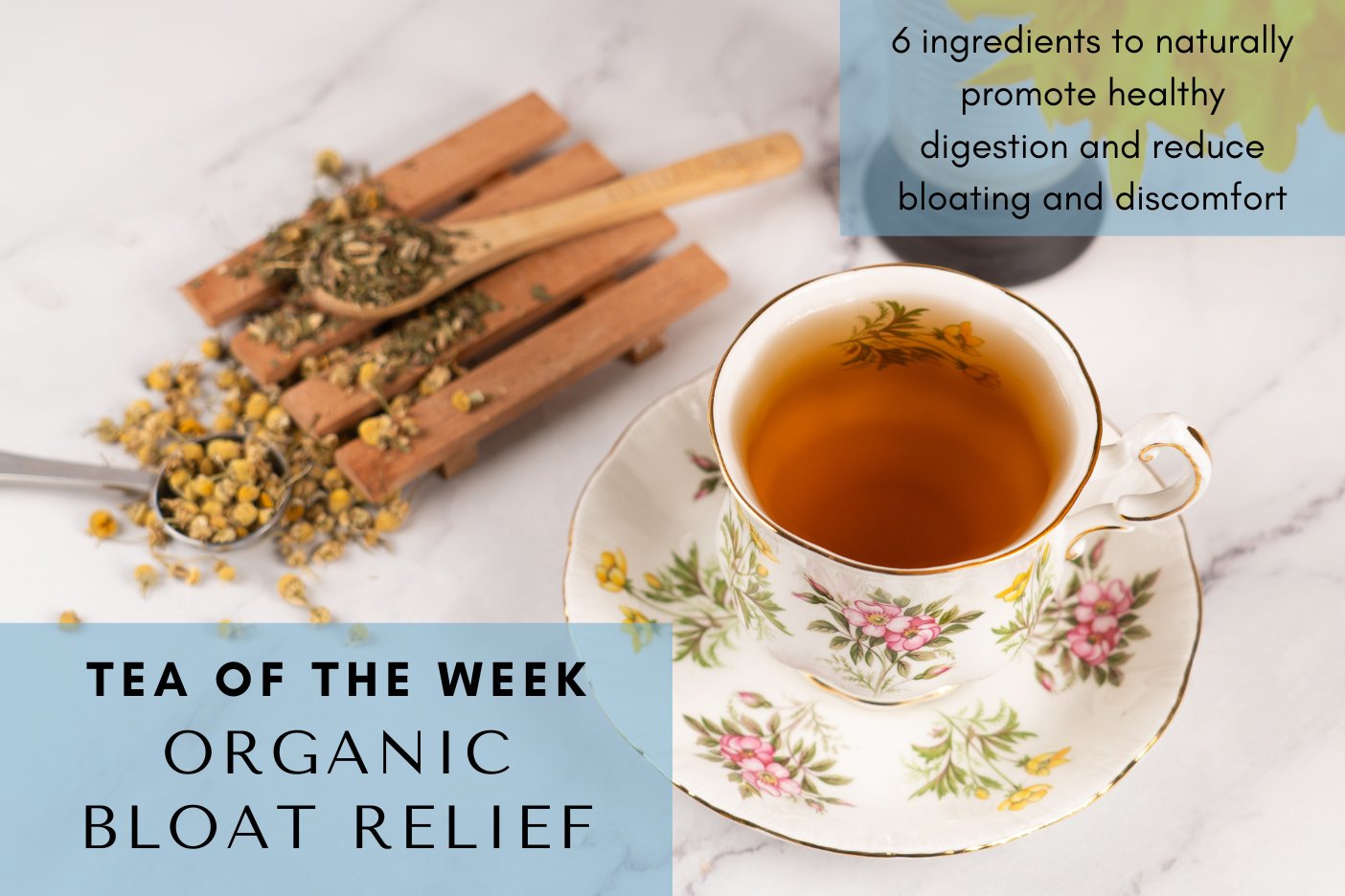 Organic Bloat Relief 😌 | Tea of the Week - Full Leaf Tea Company