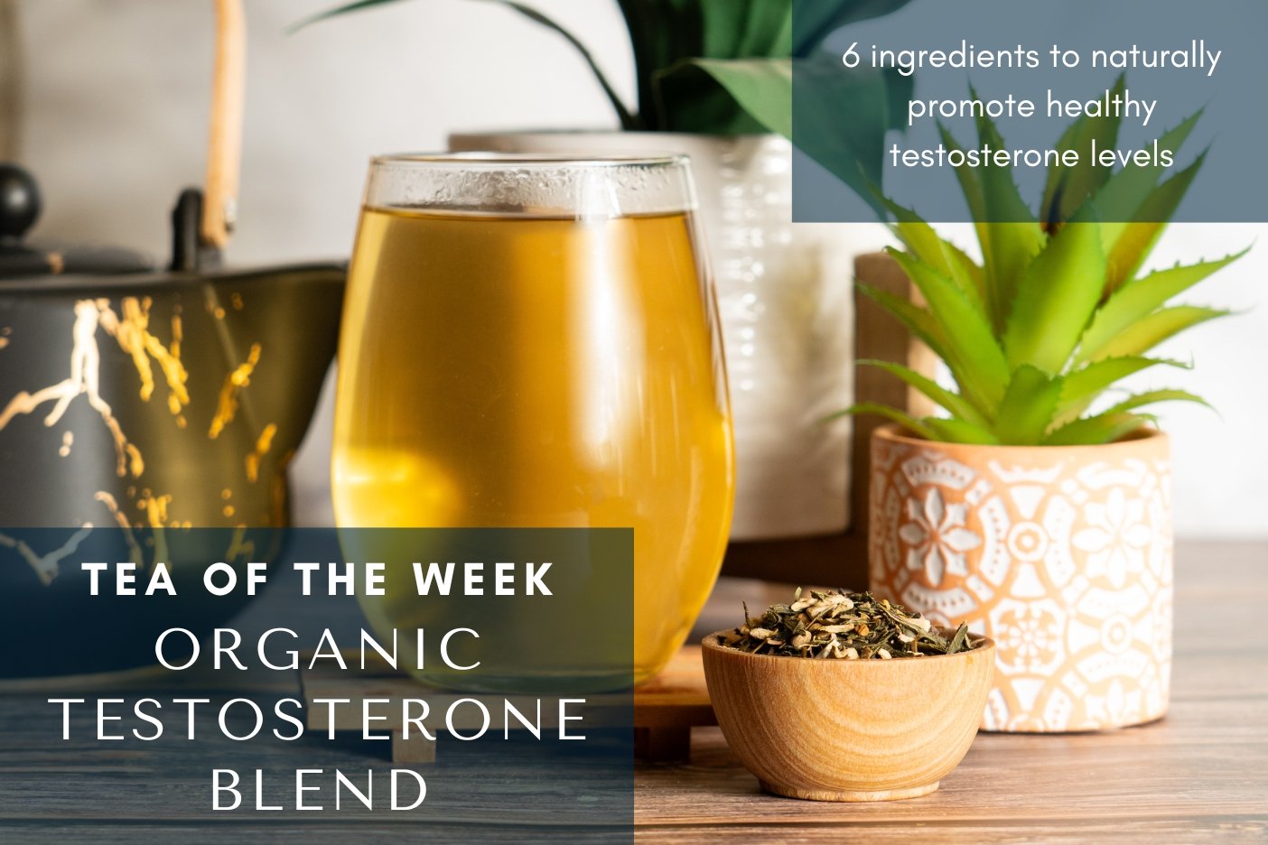 Organic Testosterone Blend 📈 | Tea of the Week - Full Leaf Tea Company
