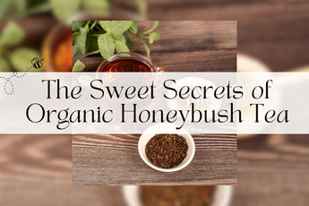 The Sweet Secrets of Organic Honeybush Tea 🍯 - Full Leaf Tea Company