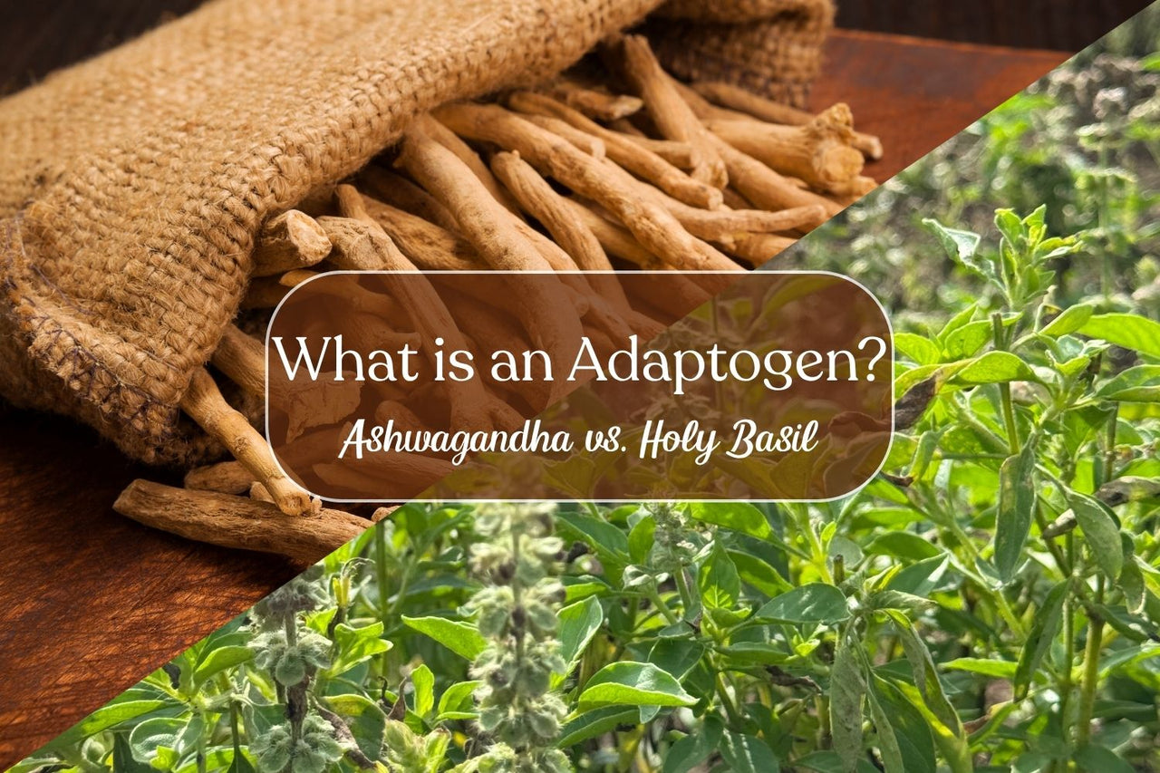 What is an Adaptogen?: Ashwagandha vs. Holy Basil – Full Leaf Tea Company