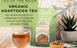 Organic Adaptogen Tea | Tea of the Week - Full Leaf Tea Company