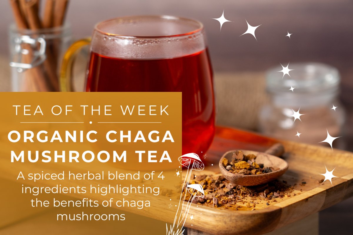 Organic Chaga Mushroom Tea | Tea of the Week - Full Leaf Tea Company