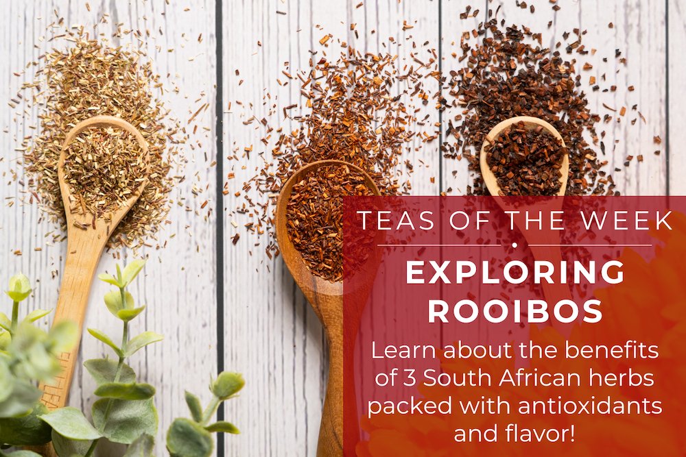 Exploring Rooibos | Teas of the Week - Full Leaf Tea Company