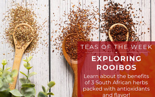 Exploring Rooibos | Teas of the Week - Full Leaf Tea Company