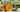 What to Drink to Ease Cold and Flu Symptoms - Full Leaf Tea Company