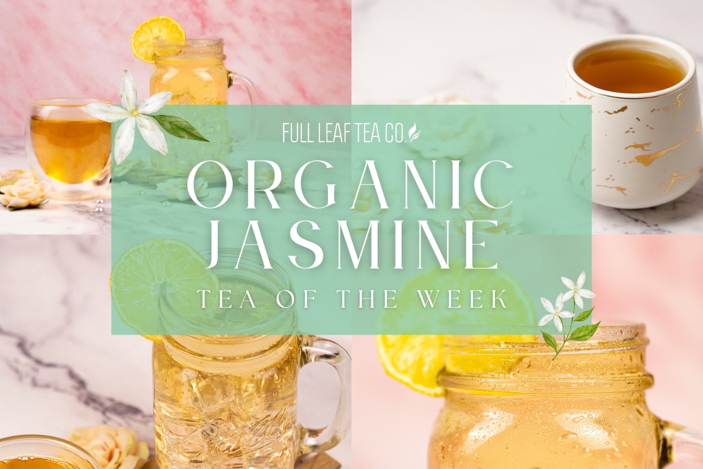 Organic Jasmine | Tea of the Week - Full Leaf Tea Company