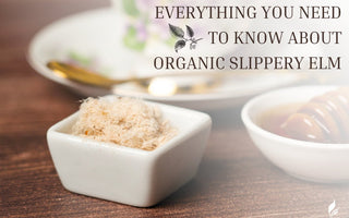 Everything You Need to Know About Organic Slippery Elm - Full Leaf Tea Company