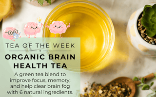 Organic Brain Health Tea | Tea of the Week - Full Leaf Tea Company