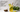 Organic Recovery Tea Coconut Lime Cooler - Full Leaf Tea Company