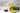 Organic Recovery Tea Coconut Lime Cooler - Full Leaf Tea Company