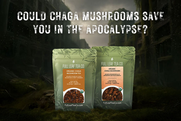 Could Chaga Mushrooms Save You in the Apocalypse? - Full Leaf Tea Company