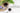 Elderberry Tea: Benefits for Immunity and Cold Relief - Full Leaf Tea Company