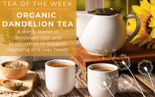 Organic Dandelion Tea | Tea of the Week - Full Leaf Tea Company