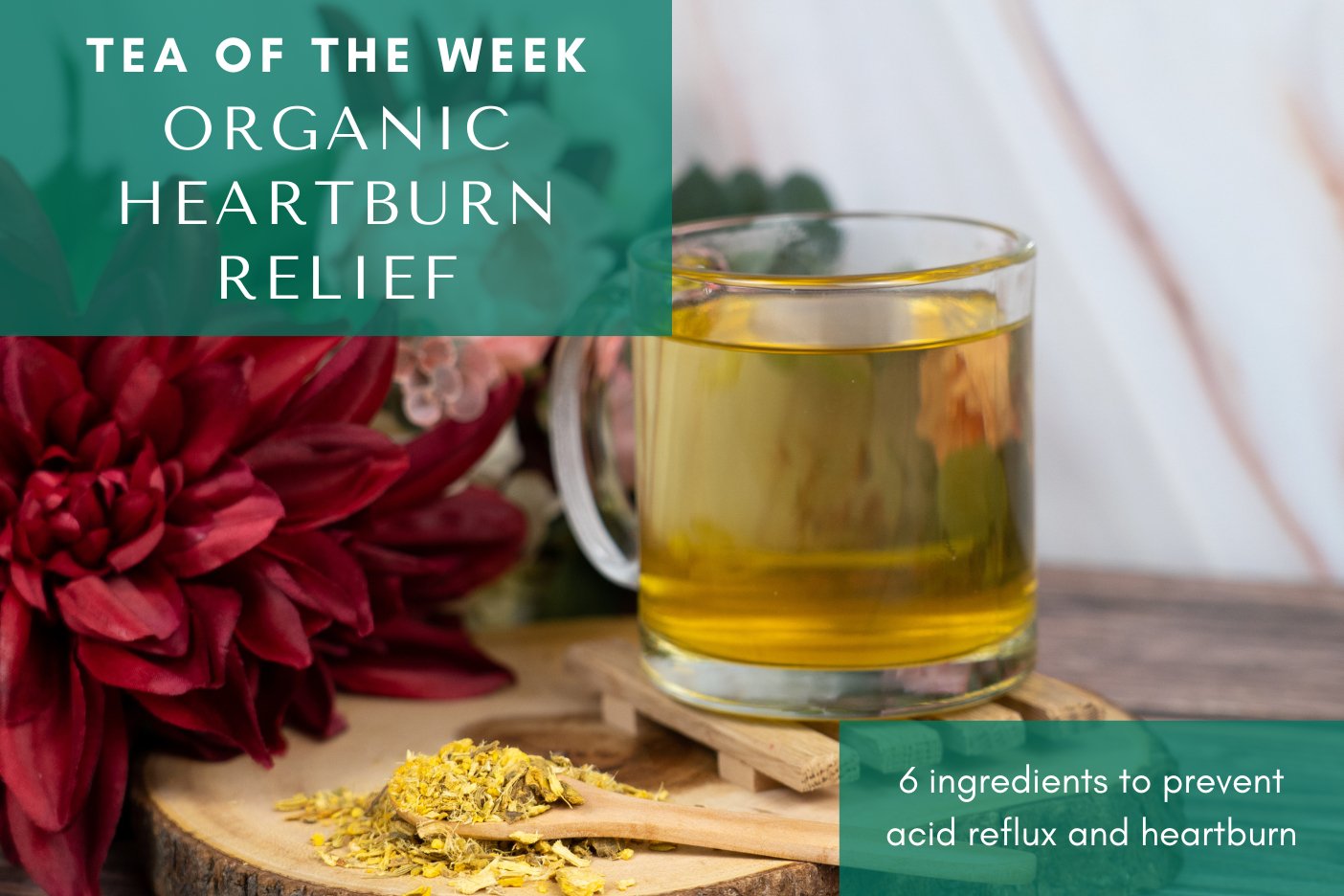 Organic Heartburn Relief ❤️‍🔥 | Tea of the Week - Full Leaf Tea Company