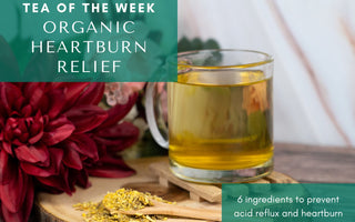 Organic Heartburn Relief ❤️‍🔥 | Tea of the Week - Full Leaf Tea Company
