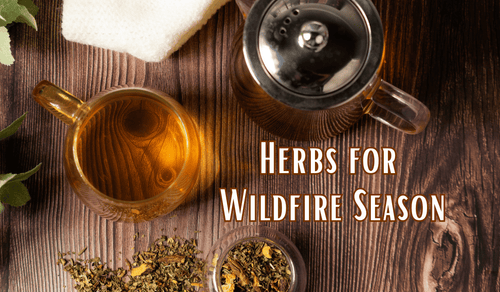 herbs for wildfire season recommendations from Full Leaf Tea Co.