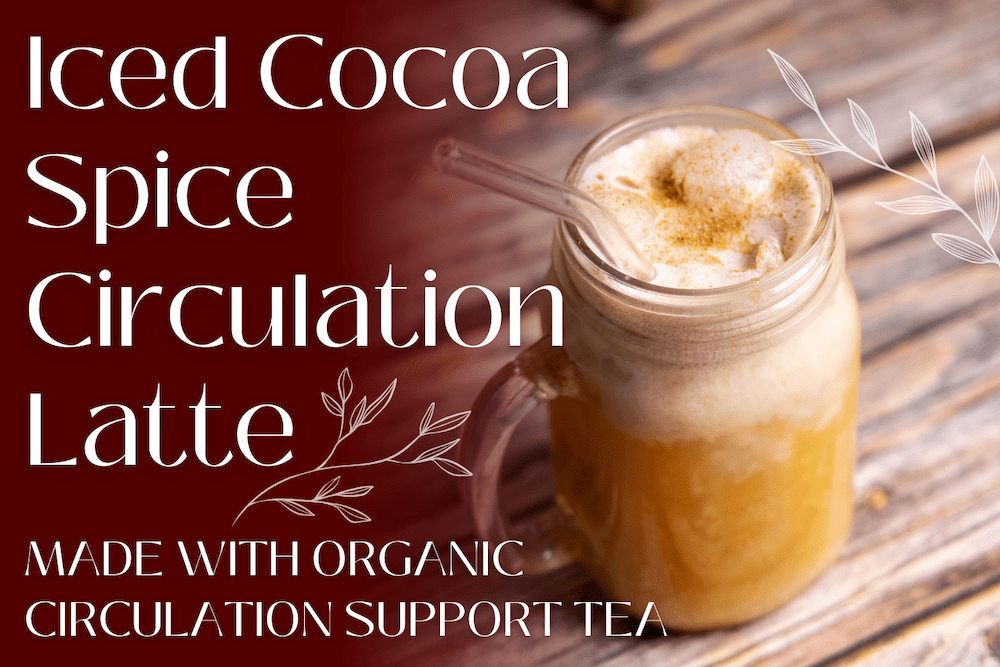Circulation Tea Iced Cocoa Spice Circulation Latte | Organic Circulation Support – Full ...