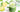 Whole 30 Matcha Smoothie - Full Leaf Tea Company