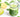 Whole 30 Matcha Smoothie - Full Leaf Tea Company