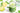 Whole 30 Matcha Smoothie - Full Leaf Tea Company