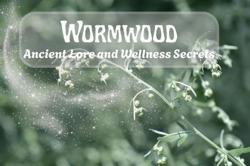 Wormwood: Ancient Lore and Wellness Secrets - Full Leaf Tea Company