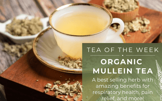 Organic Mullein Tea | Tea of the Week - Full Leaf Tea Company