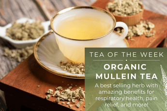 Organic Mullein Tea | Tea of the Week - Full Leaf Tea Company