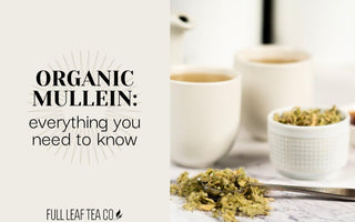 Organic Mullein - Everything you need to know 🍃 - Full Leaf Tea Company
