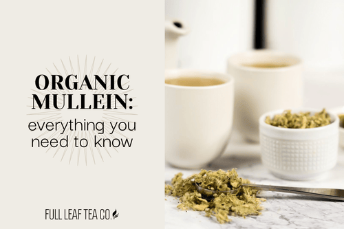 Organic Mullein - Everything You Need To Know 🍃 - Full Leaf Tea Company