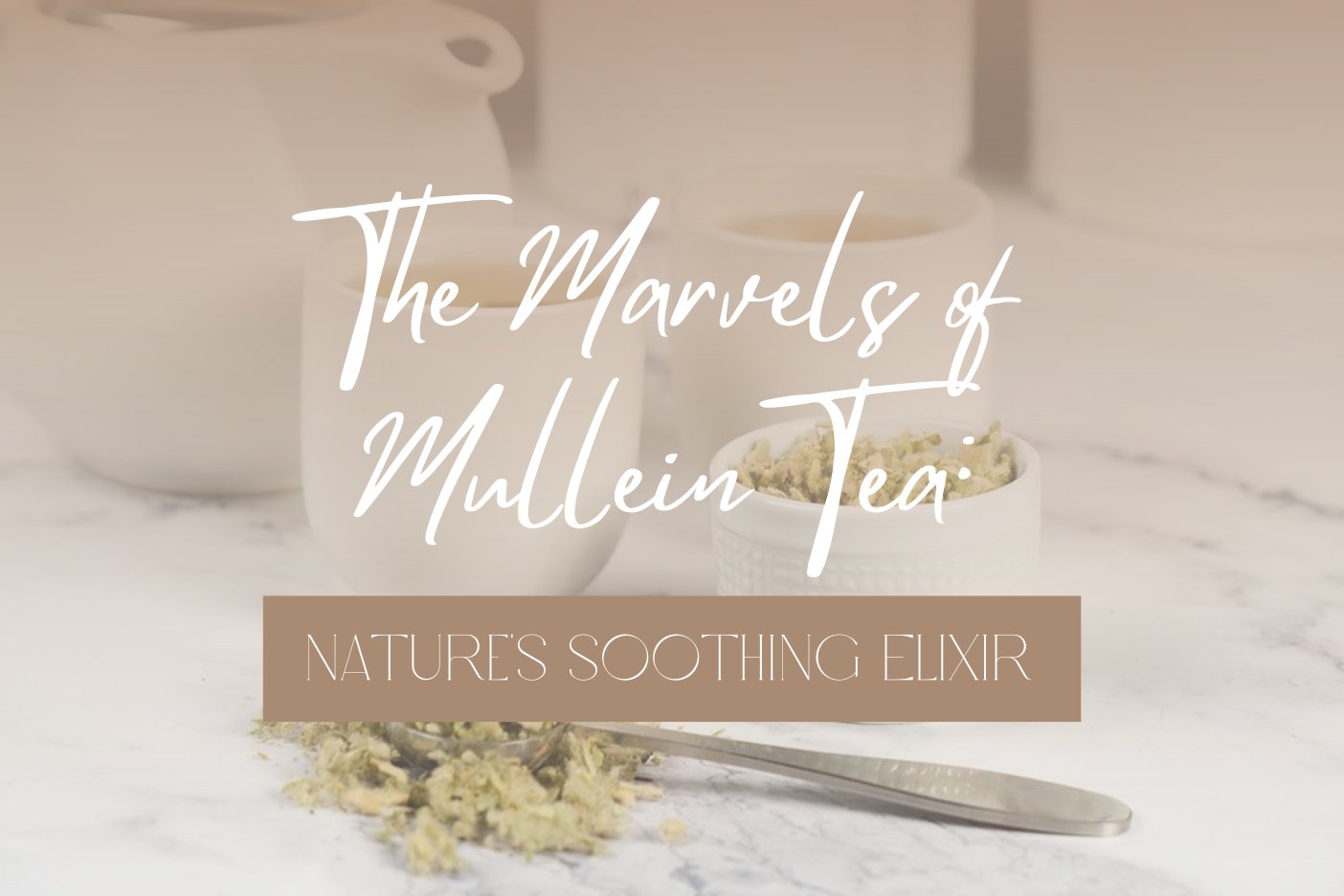 The Marvels of Mullein Tea: Nature's Soothing Elixir - Full Leaf Tea Company