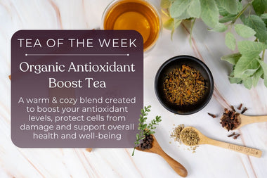 Organic Antioxidant Boost Tea | Tea of the Week - Full Leaf Tea Company