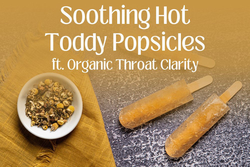 Soothing Hot Toddy Popsicles - Full Leaf Tea Company