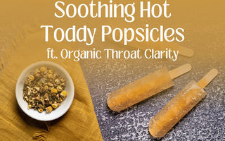 Soothing Hot Toddy Popsicles - Full Leaf Tea Company