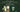 Full Leaf's Organic Sweet Matcha Vs Starbucks' Matcha Latte - Full Leaf Tea Company