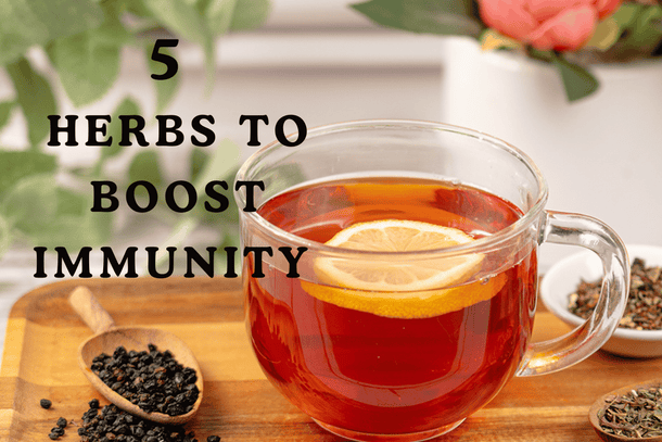 Herbs to Help Boost Immunity - Guide to Supporting Immune Function ...