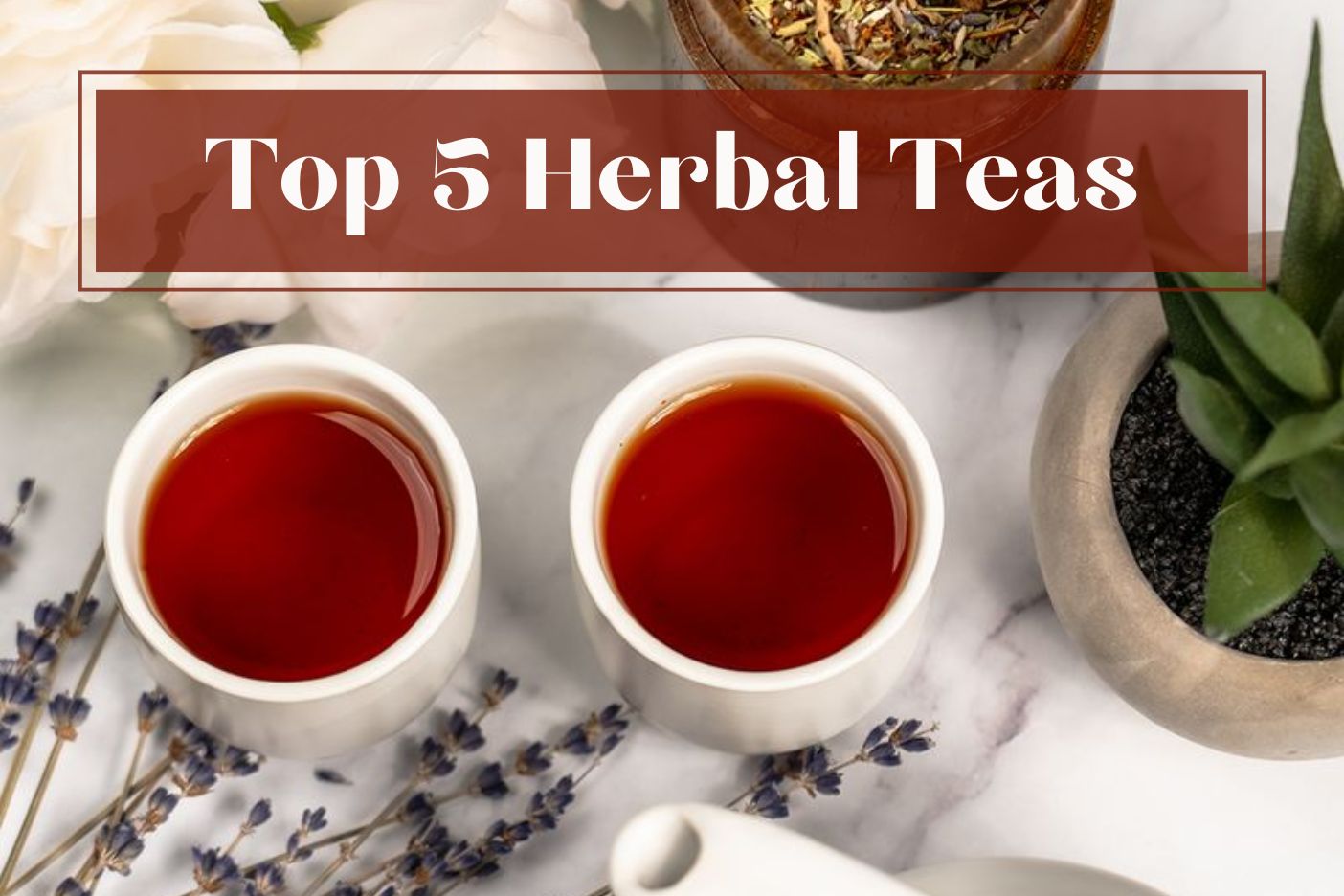 Top 5 Herbal Teas 🌱 Full Leaf Tea Cos Top 5 Rankings Full Leaf Tea Company 5287